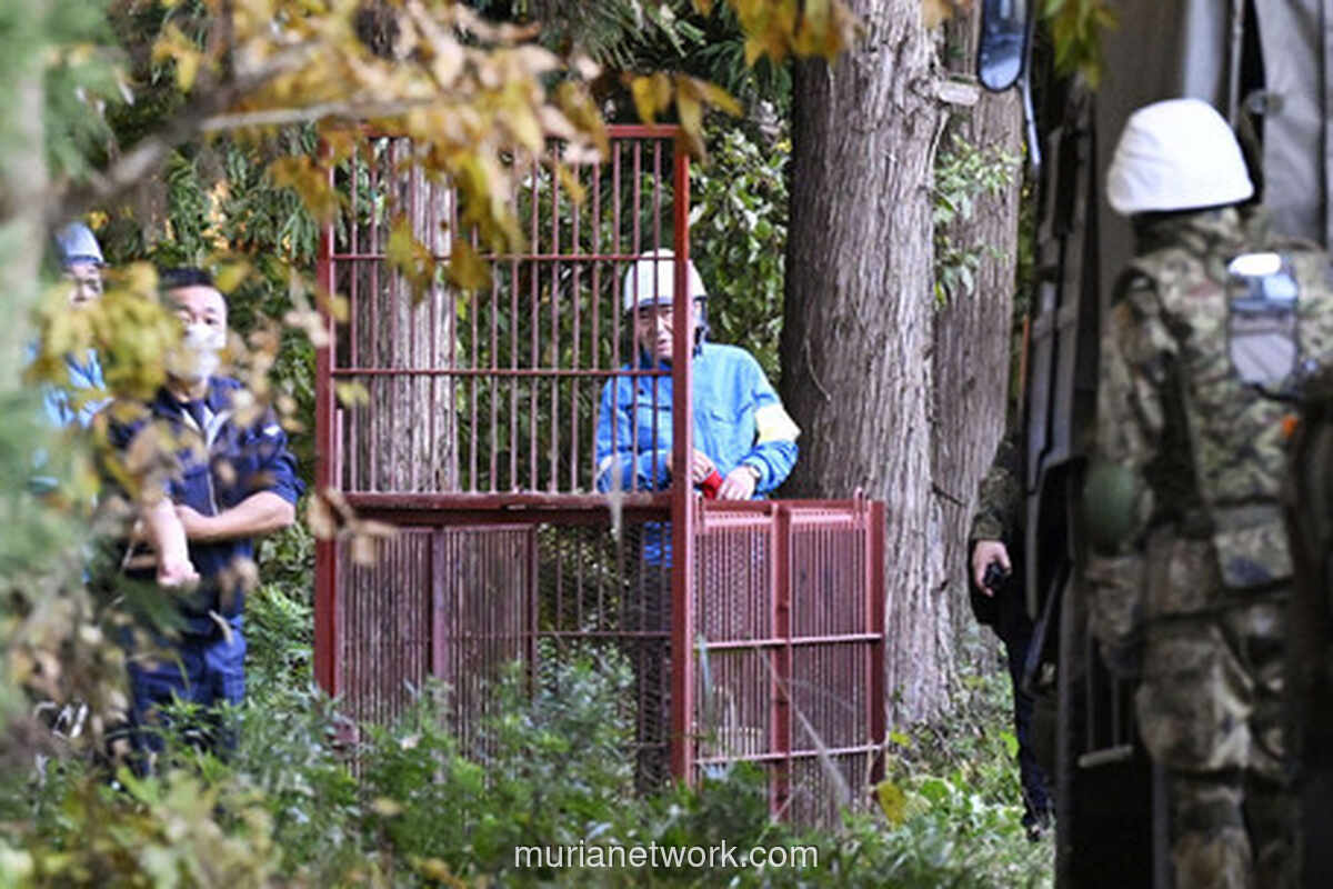 Kebijakan Baru Jepang Izinkan Polisi Tembak Mati Beruang, Ini Alasannya