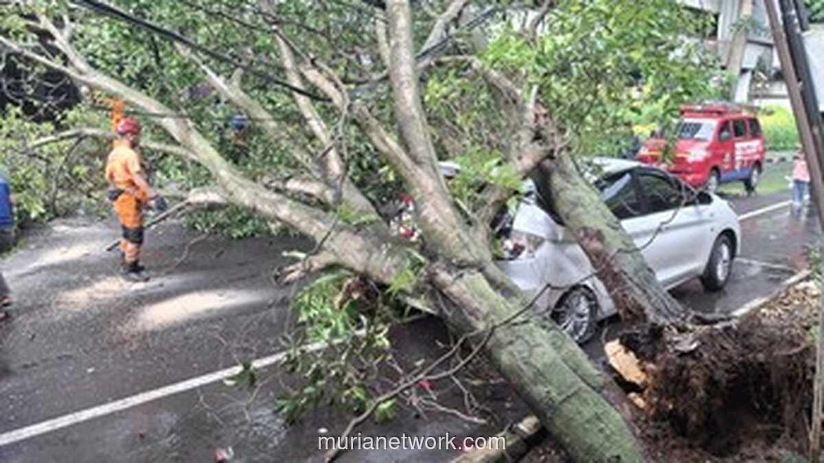 Pohon Tumbang di Jalan Malabar Bogor Timpa Mobil Parkir: Kronologi & Dampak Kerusakan