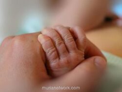 Hari Prematur Sedunia 2025: Tema Healthy Beginnings, Hopeful Futures, Sejarah & Tujuan