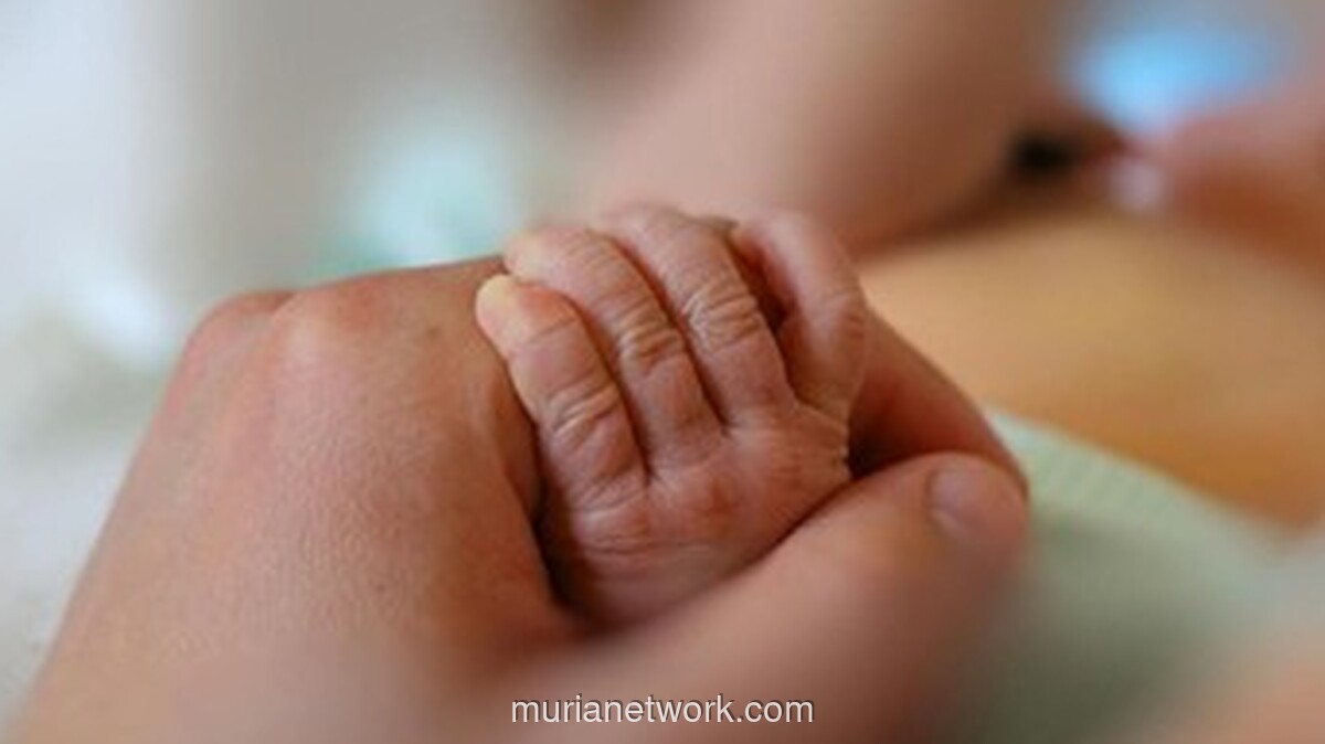 Hari Prematur Sedunia 2025: Tema Healthy Beginnings, Hopeful Futures, Sejarah & Tujuan