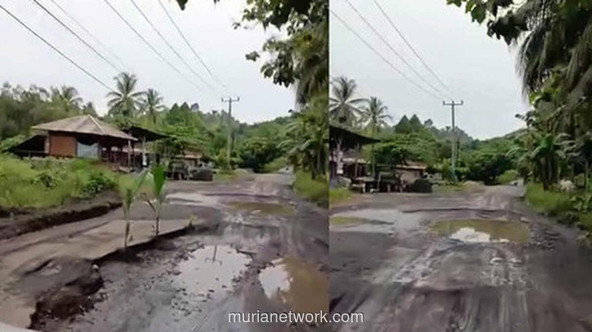 Warga Protes Jalan Rusak Minsel-Mitra dengan Tanam Pohon, Viral!