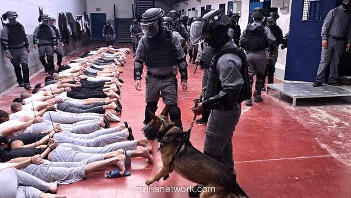 Kekerasan Seksual Sistematis Israel: Tahanan Palestina Disiksa dan Diperkosa