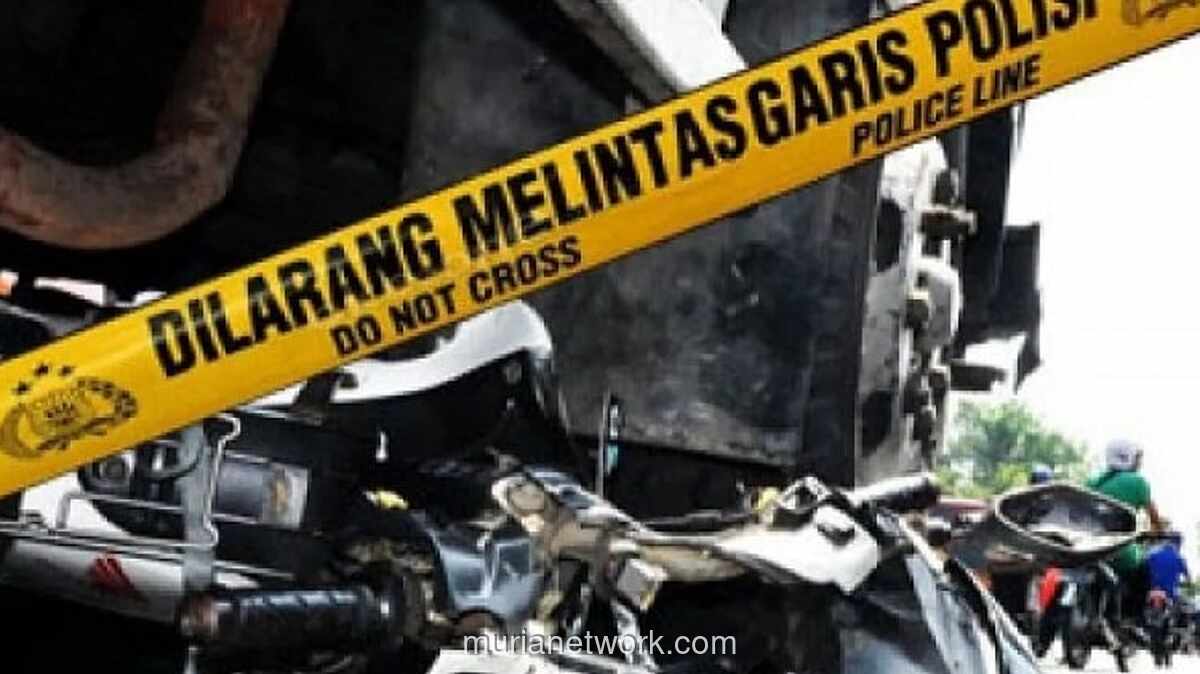 Kecelakaan Maut Truk Tebo: 1 Tewas Terjepit, Lalu Lintas Macet Total di Jalinsum
