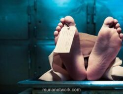 Keluarga Tewas Keracunan Makanan di Istanbul: Kronologi & Peringatan Wisatawan