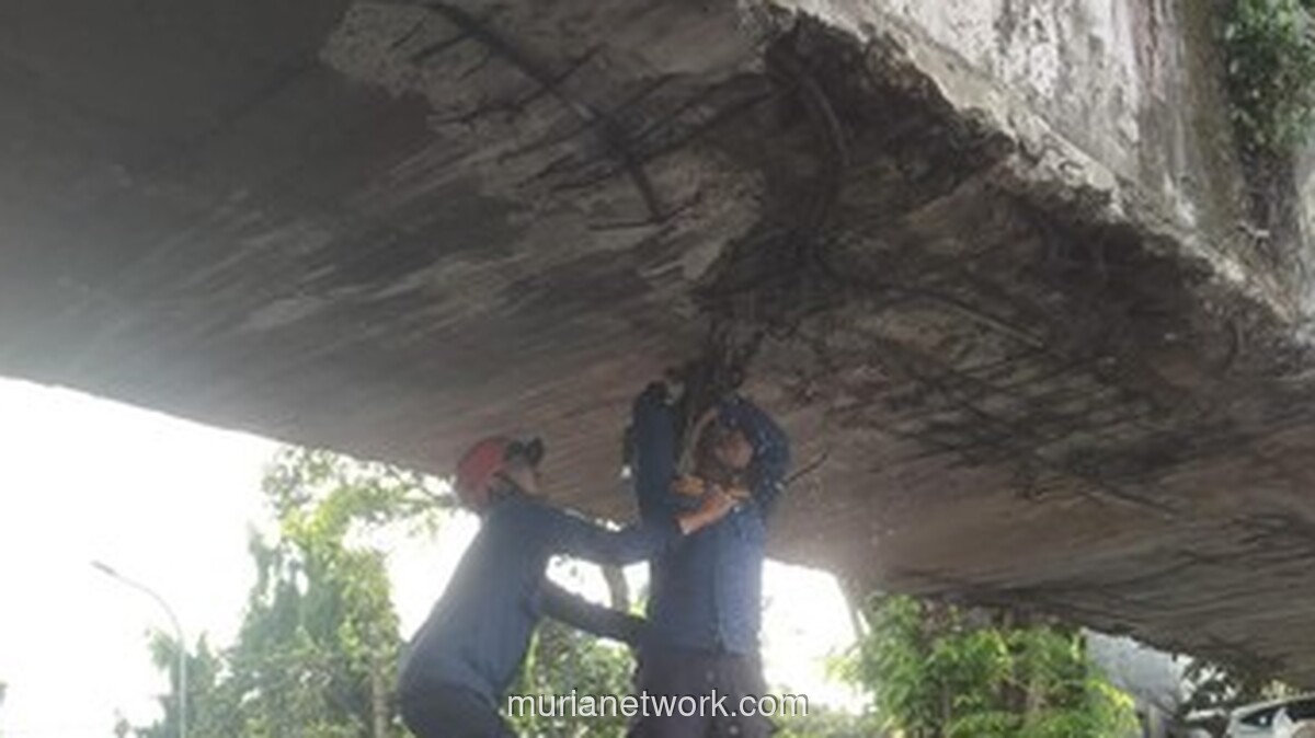 Truk Kontainer Nyangkut di Bogor, Jembatan Air Bocor & Rusak Parah