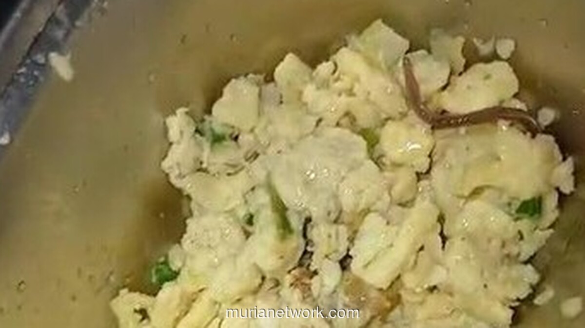 Cacing Tanah Ditemukan di Makan Bergizi Gratis SMAN 6 Medan, Ini Kata Kadisdik