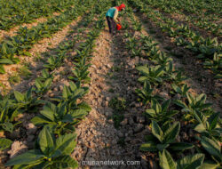 Jawa Timur Raup Rp 4,16 Triliun dari Perdagangan dan Investasi Singapura