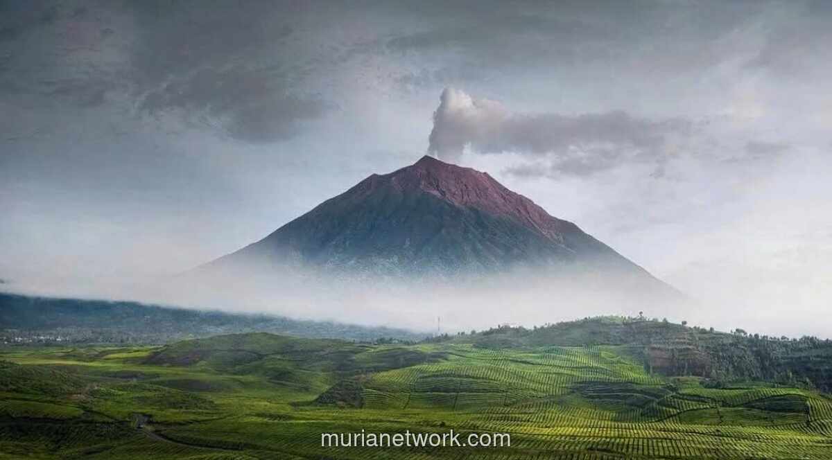 4 Destinasi Wisata Alam Tersembunyi di Indonesia 2024, No. 3 Bikin Takjub