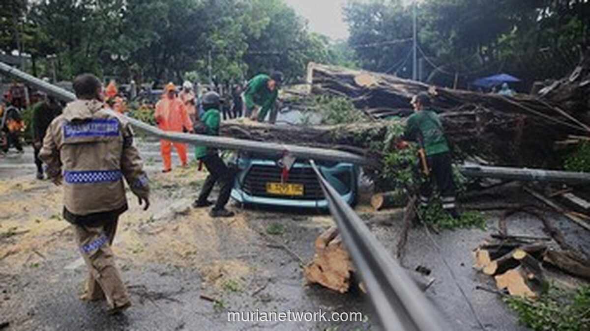 Pemprov DKI Percepat Pemasangan Penyangga 5.000 Pohon Pasca Tumbang