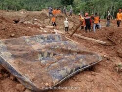 Tim SAR Kerahkan 9 Anjing Pelacak & Alat Berat Cari 20 Korban Longsor Cilacap