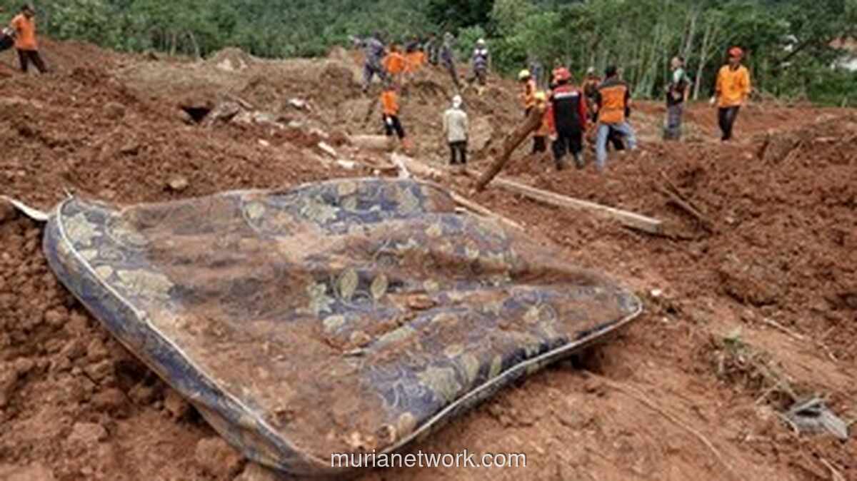 Tim SAR Kerahkan 9 Anjing Pelacak & Alat Berat Cari 20 Korban Longsor Cilacap