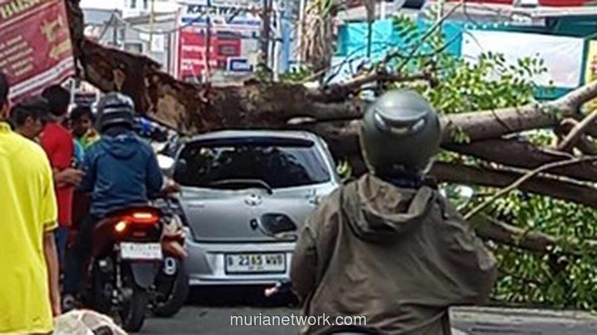 Pohon Tumbang di Tangerang Selatan Timpa Mobil Toyota Yaris: Kronologi & Dampak Lalu Lintas