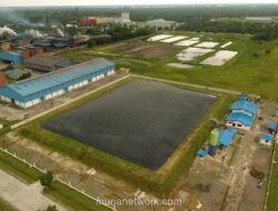 Pertamina NRE Sukses Jual 90% Kredit Karbon 35 Ribu Ton CO2e, Tandai Bangkitnya Pasar