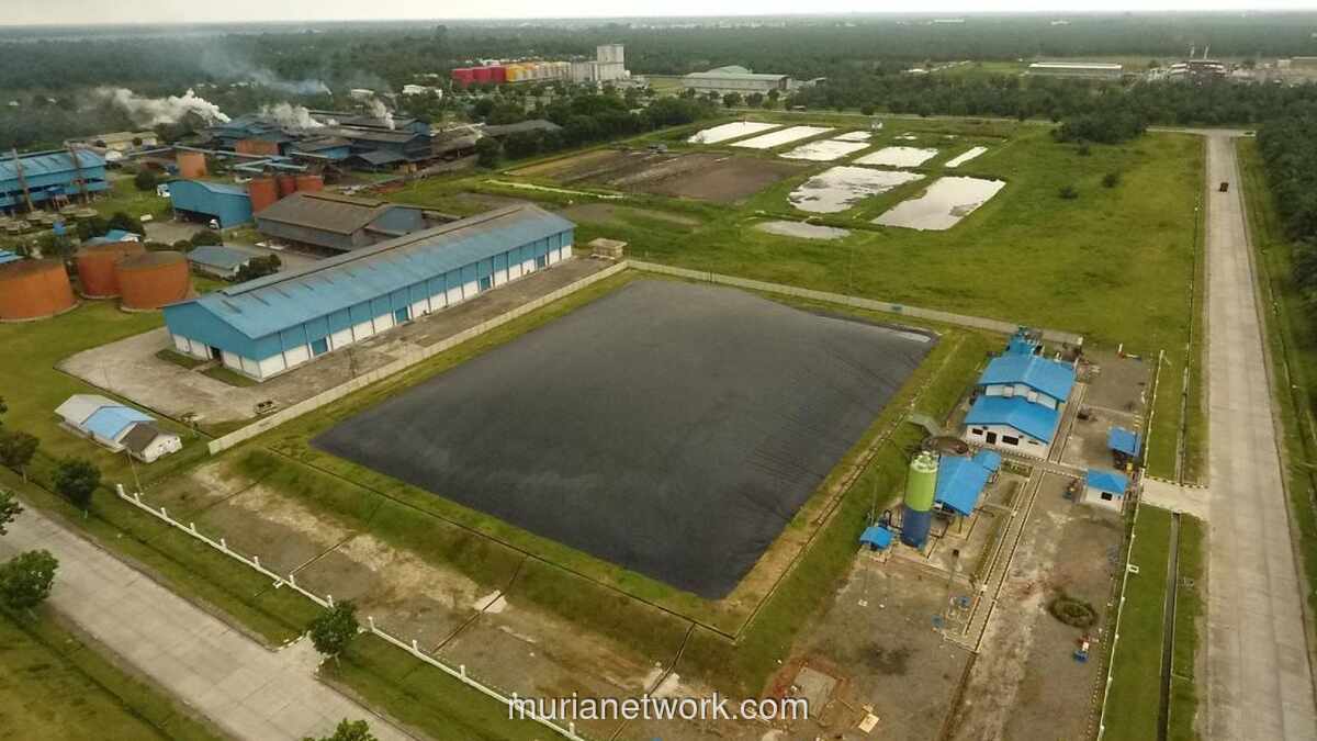 Pertamina NRE Sukses Jual 90% Kredit Karbon 35 Ribu Ton CO2e, Tandai Bangkitnya Pasar