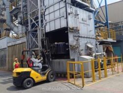 5 Ton Udang Impor Terkontaminasi Zat Radioaktif Cesium 137 Dimusnahkan KLH