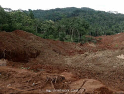 7 Tanda Tanah Longsor dan Langkah Antisipasi Menurut Pakar UGM