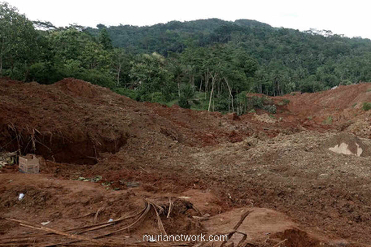 7 Tanda Tanah Longsor dan Langkah Antisipasi Menurut Pakar UGM