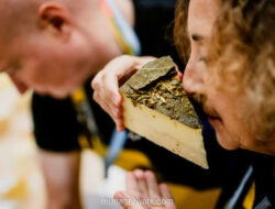 World Cheese Awards 2024: Keju Swiss Raih Gelar Juara Dunia di Ajang Bergengsi