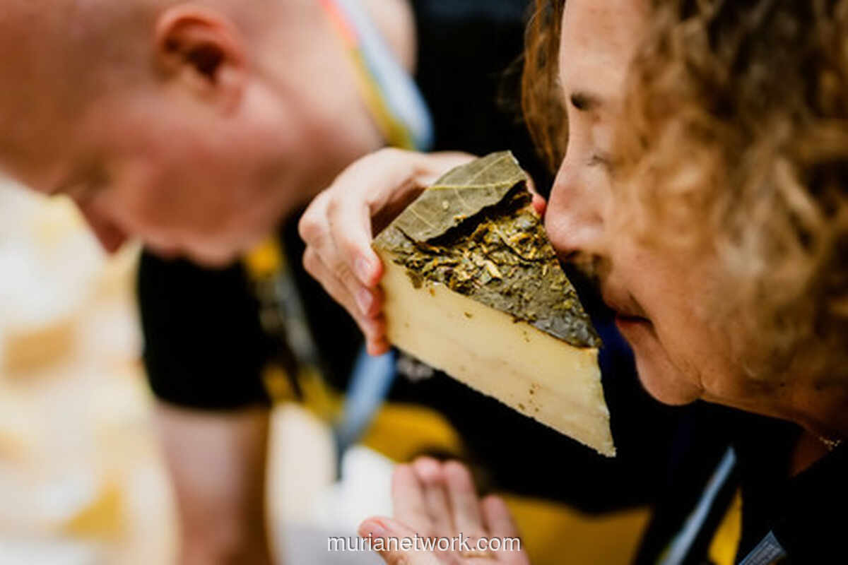 World Cheese Awards 2024: Keju Swiss Raih Gelar Juara Dunia di Ajang Bergengsi
