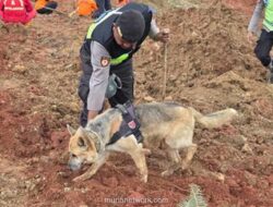 Update Longsor Cilacap: 205 Personel & 10 Anjing Pelacak Dikerahkan untuk Evakuasi 20 Korban
