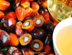 Basuki Prawono Winata Gantikan Djunaidi Nur sebagai Direktur TBLA & BUDI