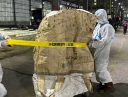 Bahaya Cesium-137: Dampak Kebocoran Radiasi pada Ekspor Udang & Cengkeh Indonesia