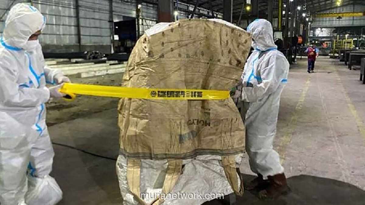 Bahaya Cesium-137: Dampak Kebocoran Radiasi pada Ekspor Udang & Cengkeh Indonesia