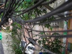 Kabel Juntai di Jalan Anggrek II Akhir Dirapikan, Warga Khawatir Masih Bisa Picu Korsleting