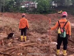 Longsor Cilacap 2025: Penyebab, Korban Jiwa, dan Peringatan Dini BMKG Terbaru