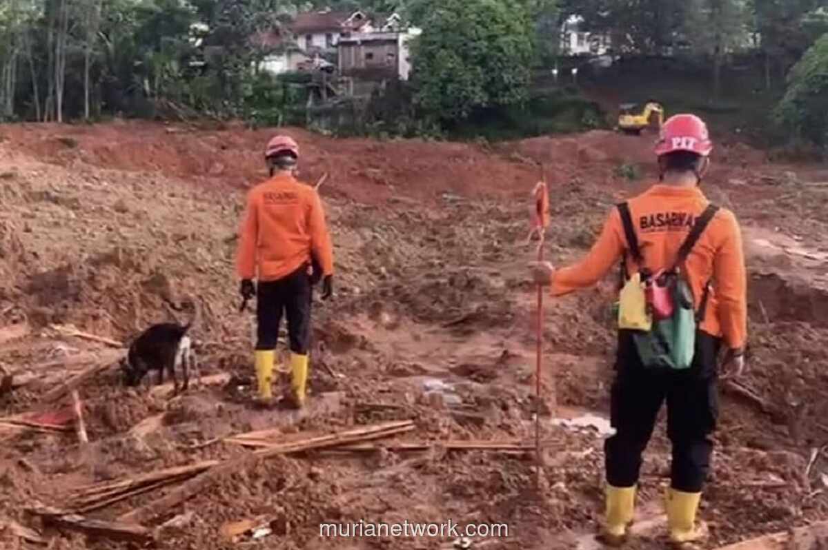 Longsor Cilacap 2025: Penyebab, Korban Jiwa, dan Peringatan Dini BMKG Terbaru