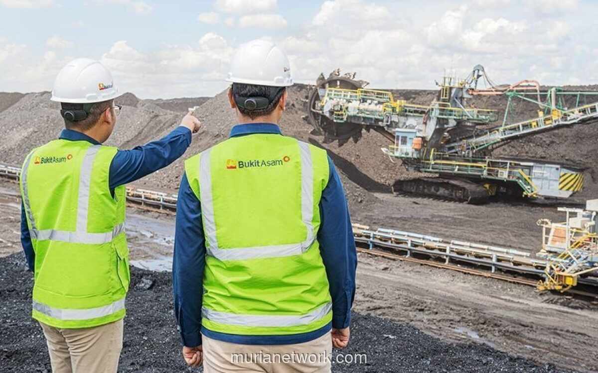 Proyeksi Produksi Batu Bara 2026 Turun: Dampak & Strategi PTBA Menghadapinya