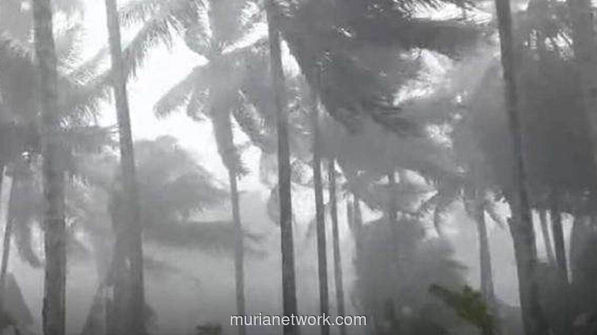 Puting Beliung Terjang Bantaeng: Kantor Haji Rusak, Jalan Poros Lumpuh