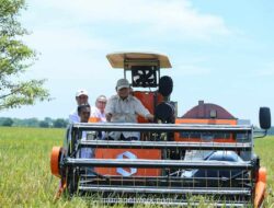 Capaian Swasembada Pangan 2025: Impor Beras Berhasil Dihentikan, Produksi Melesat