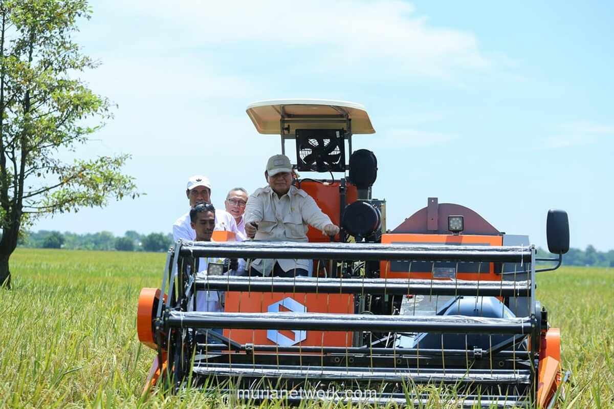 Capaian Swasembada Pangan 2025: Impor Beras Berhasil Dihentikan, Produksi Melesat