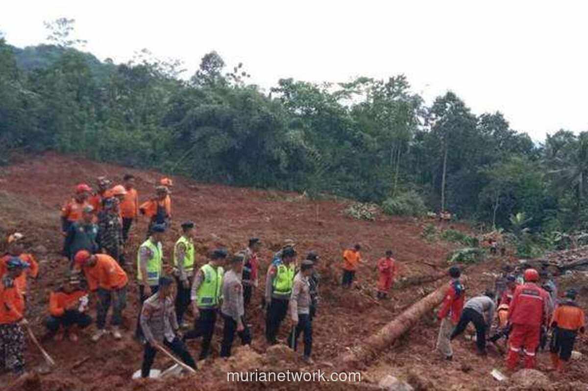 Korban Longsor Cilacap: 12 Orang Masih Hilang, Pencarian Diperpanjang