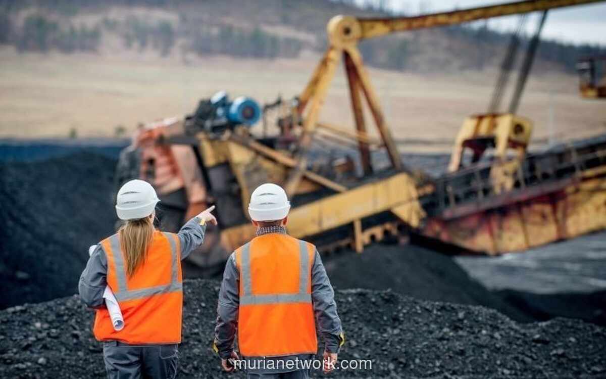 BUMI Kuartal III 2025 Cetak Pendapatan USD1 Miliar, Akuisisi Tambang Emas Dongkrak Target Harga Saham