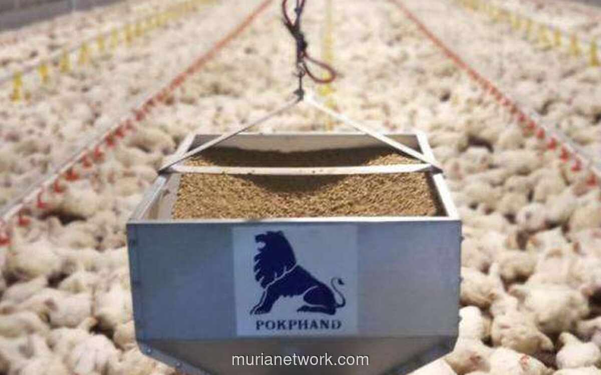 Laba CPIN Melonjak 41% di Kuartal III 2025, Ini Kata Analis!