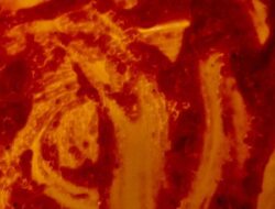 Tragic Flaw: Pengertian, Contoh, dan Perbedaannya dengan Tokoh Kuat