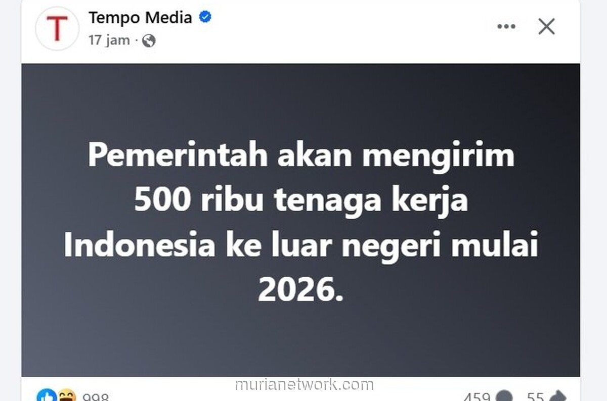 Program Pengiriman 500.000 TKI ke Jepang, Jerman, Turki 2026: Syarat & Kuota