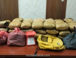 Bareskrim Polri Gagalkan Penyelundupan 47 Kg Ganja di Deli Serdang, 2 Tersangka Ditangkap!