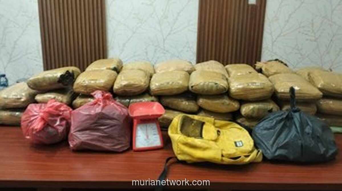 Bareskrim Polri Gagalkan Penyelundupan 47 Kg Ganja di Deli Serdang, 2 Tersangka Ditangkap!