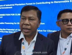 Mahkamah Agung Ungkap Kemajuan Penegakan Hukum Lingkungan: 1.700 Hakim Sudah Bersertifikat