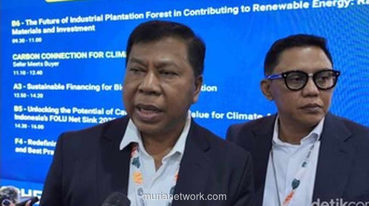 Mahkamah Agung Ungkap Kemajuan Penegakan Hukum Lingkungan: 1.700 Hakim Sudah Bersertifikat