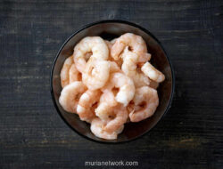 Udang Indonesia Ditolak AS: Dibalik Kontaminasi Cesium-137 dan Kegagalan Ekonomi Sirkular