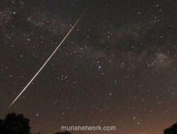 Hujan Meteor Leonid 2025: Waktu Puncak & Cara Melihat di Indonesia