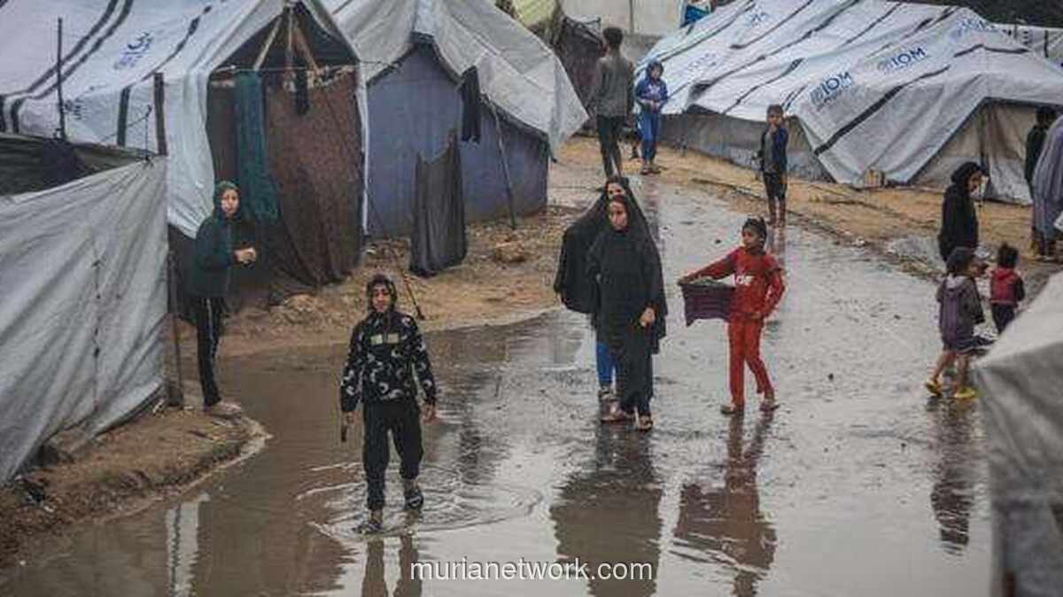 Krisis Kemanusiaan Gaza: 93% Tenda Pengungsi Ambruk Diterjang Hujan