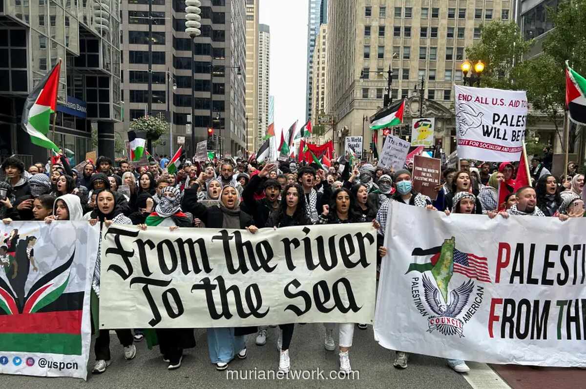 Survei Harvard Ungkap Mayoritas Generasi Z Amerika Lebih Dukung Hamas daripada Israel