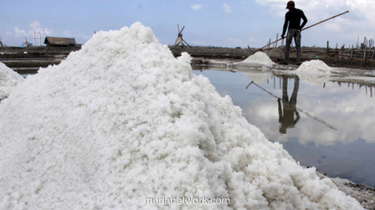 Industri Olefin Minta Relaksasi Impor Garam Industri Diperpanjang Sampai Kapan?