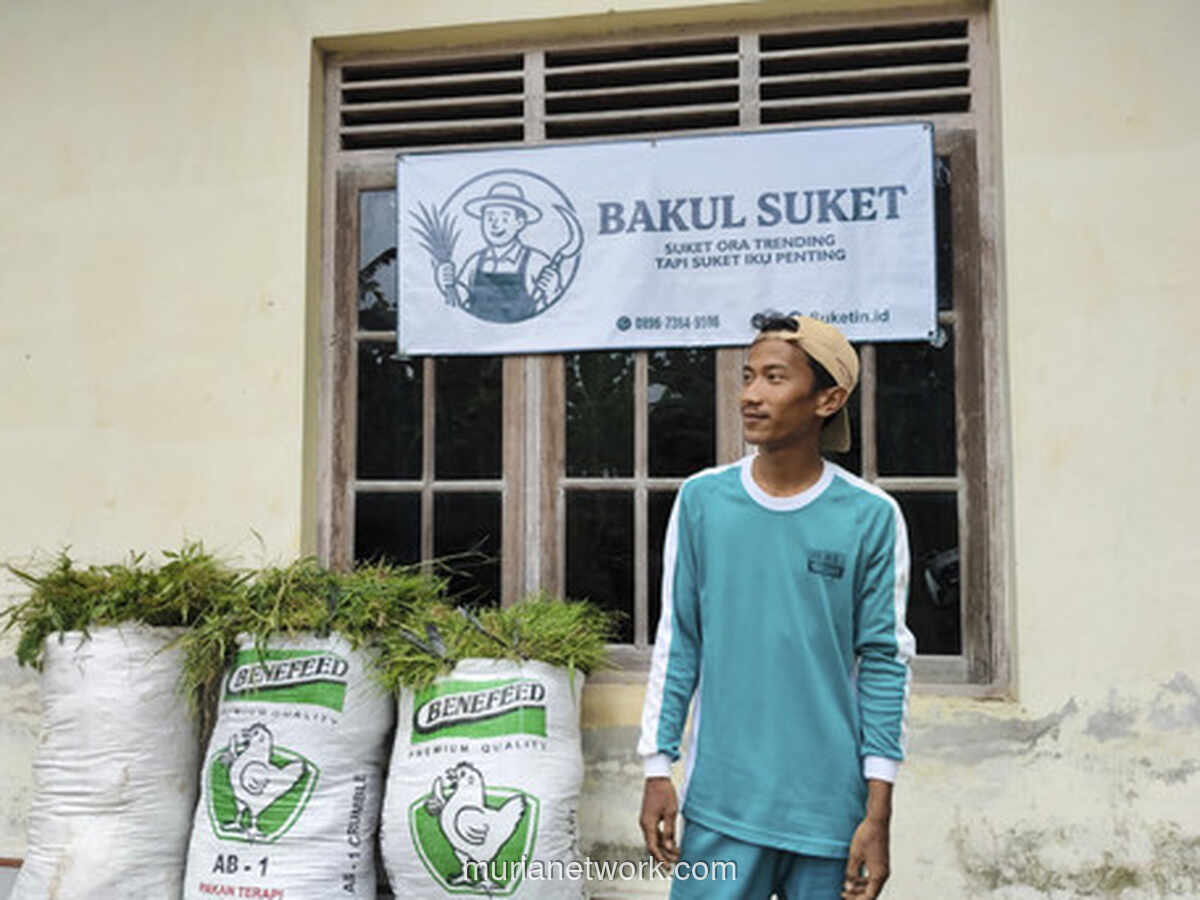 Bakul Suket Jogja (Suketin.id): Inovasi Sukses Jual Rumput Ternak Online