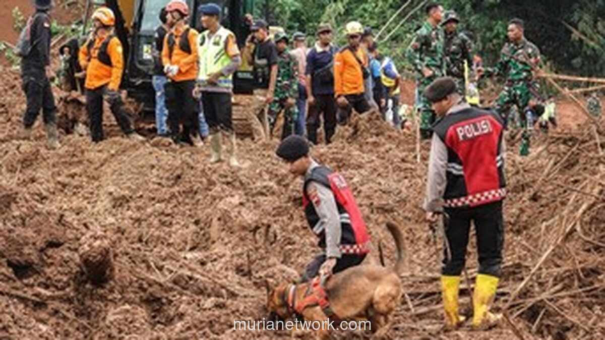 Tim SAR Evakuasi 2 Korban Meninggal dan Temukan Bagian Tubuh di Longsor Cilacap Hari Keempat